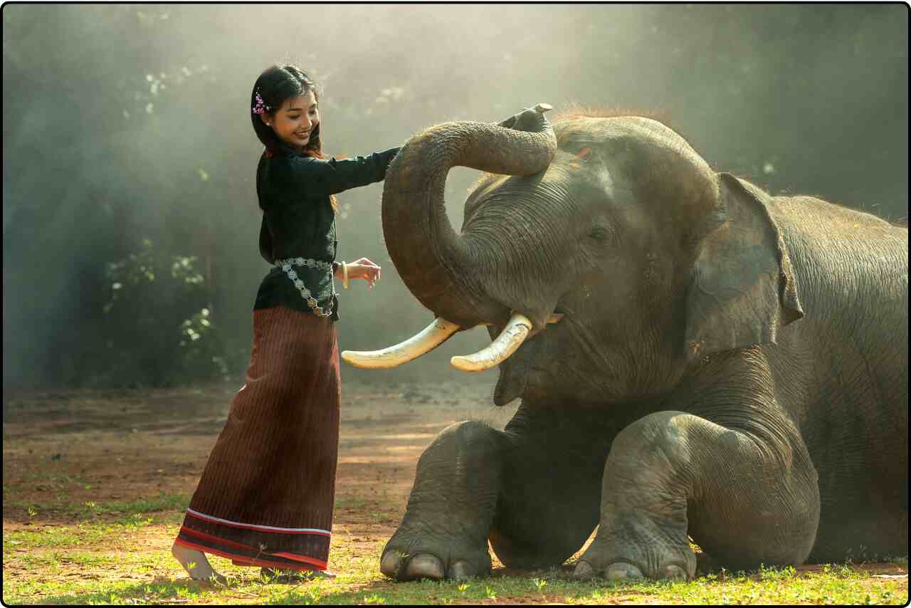 A young Asian woman bonding with an elephant through touch.